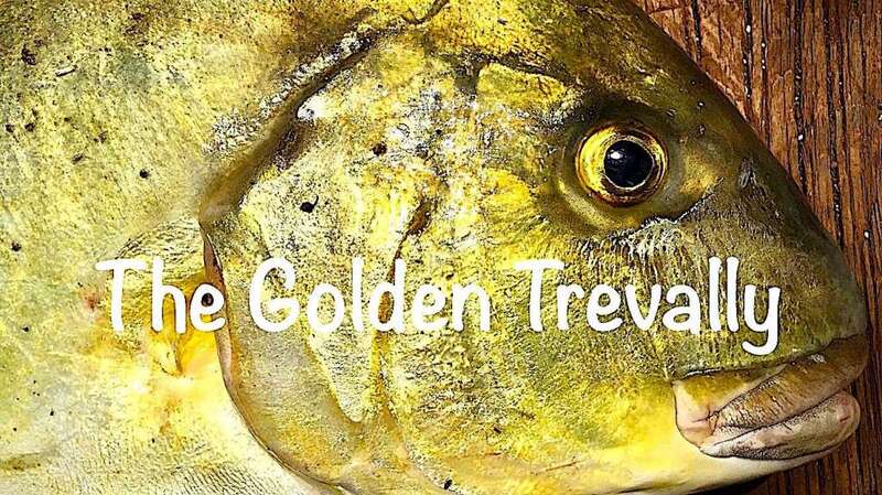Attached picture Golden Trevally-Cover.jpg